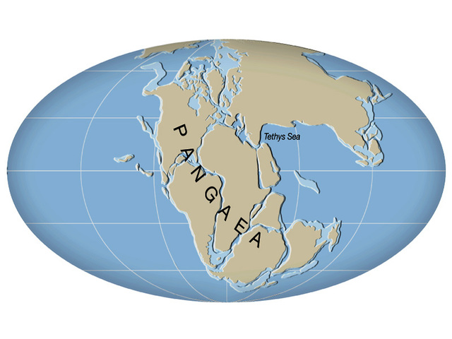 Pangaea formed