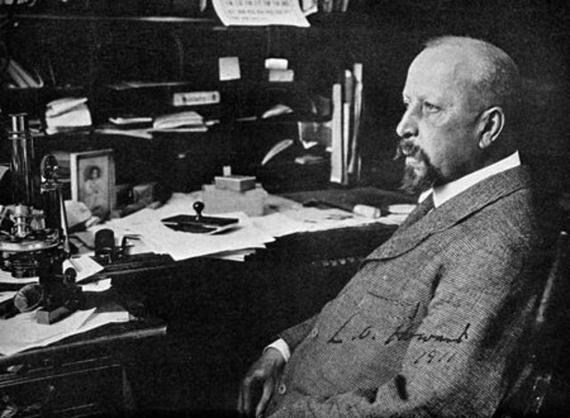 Houseflies identified as disease carriers