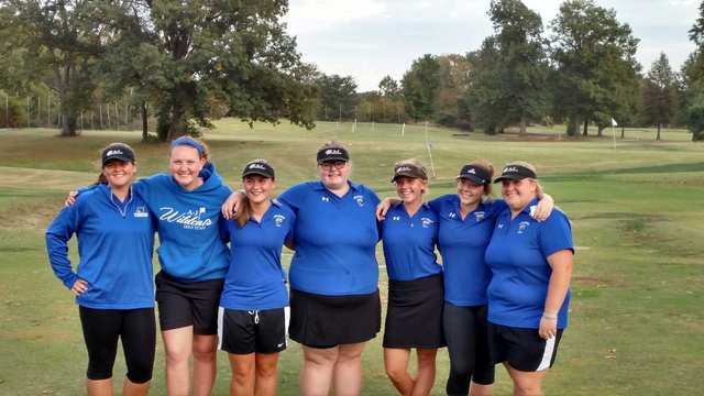 Equipo golf de seccionales