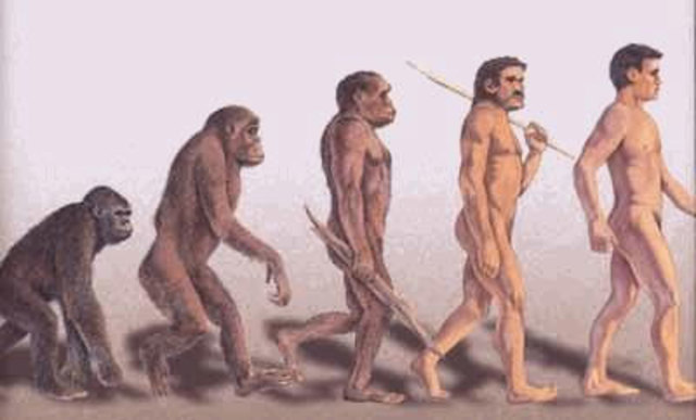 Homo sapiens evolved