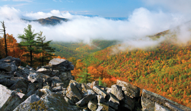 Shenandoah National Park Created