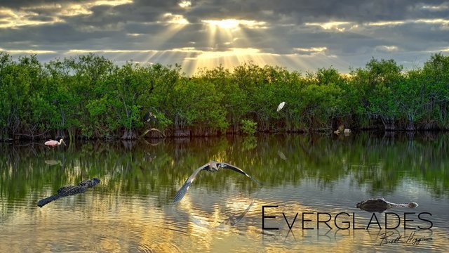 Everglades National Park Created