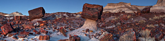 Petrified Forest National Park