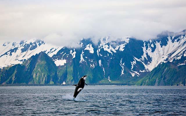 Kenai Fjords National Park Created