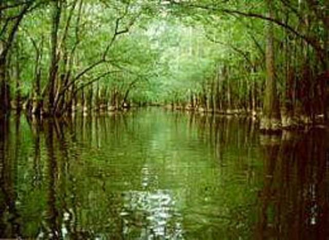 Congaree National Park Created