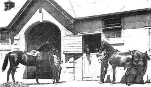 Phar Lap's Birth