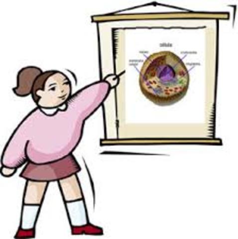 power point, publisher y exel