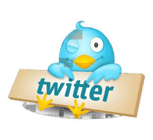 SE INAUGURA TWITTER Y BADOO