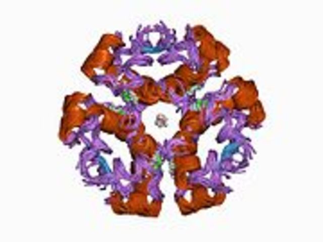 Producción biotecnológica de la insulina.