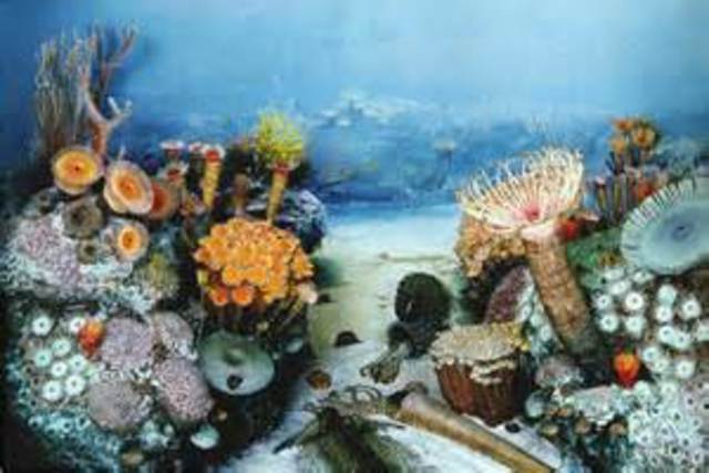 Late Devonian mass extinction