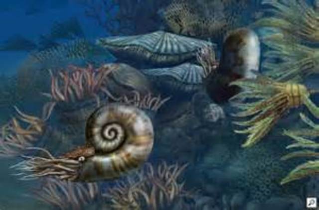 Permian mass extinction