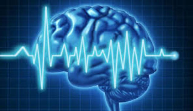 Rose until it touched the sky