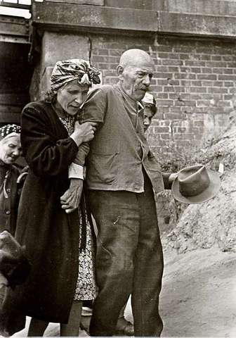 Political Advisor to the American commandant, Robert Murphy, reports on refugees arriving from Polish territories