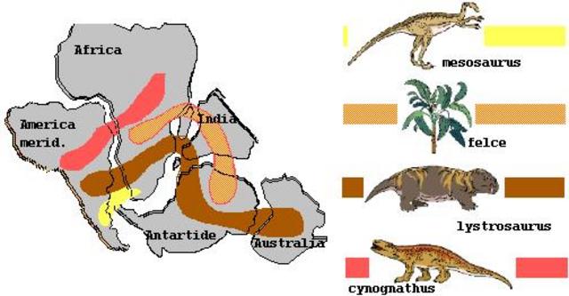 Ampliacion de la teoria la deriva continental