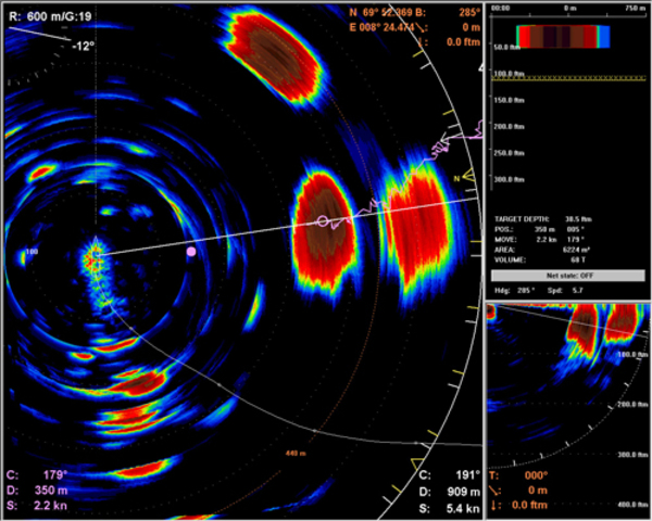 The current use of sonar