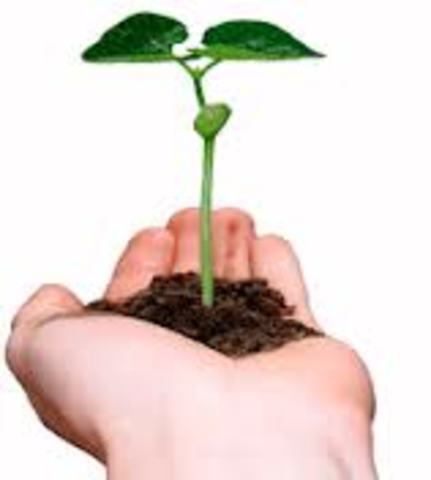 Tercer Programa De Accion Medioambiental  (UNION EUROPEA)