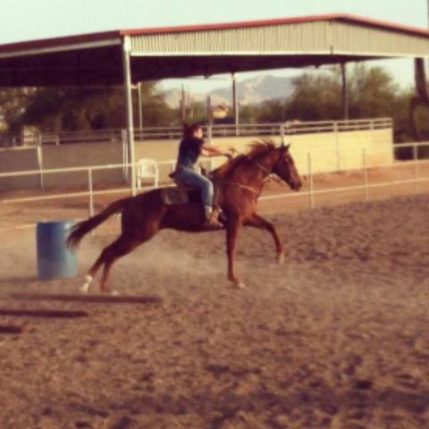 started barrel racing
