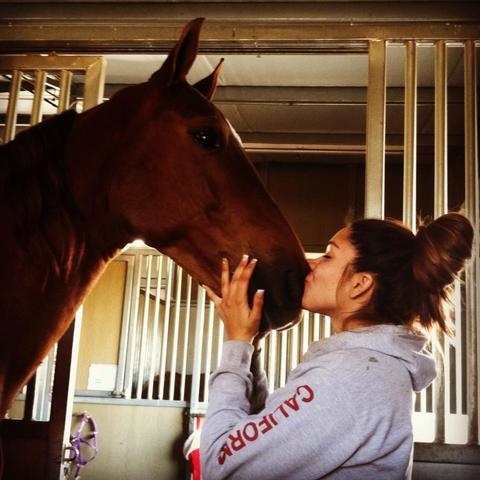 got a job at a saddlebred barn