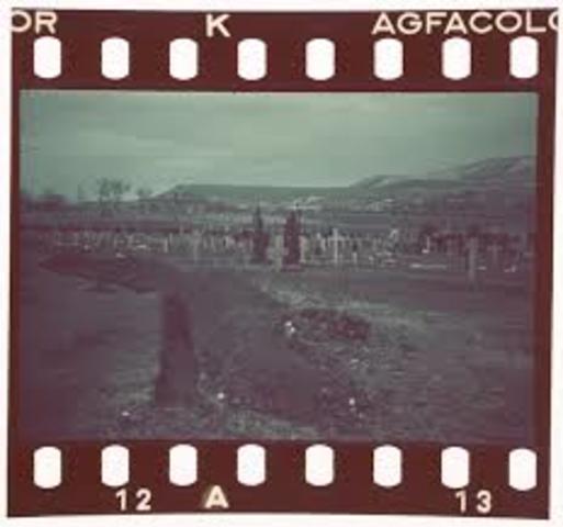 PELICULA FOTOGRAFICA