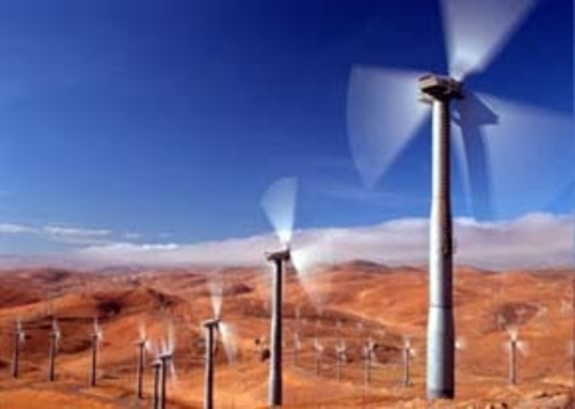 Construction Begins on the World's Largest Wind Farm in California's Altamont Pass; Bird Deaths from Wind Turbines Number in the Thousands