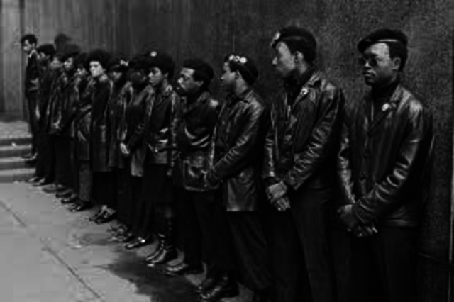 black panthers