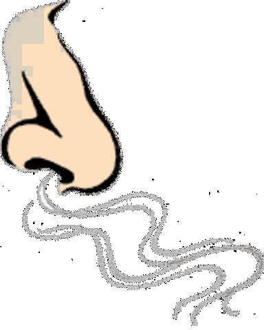 Confiar en su instinto