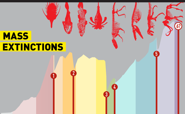 Cretaceous Mass Extinction