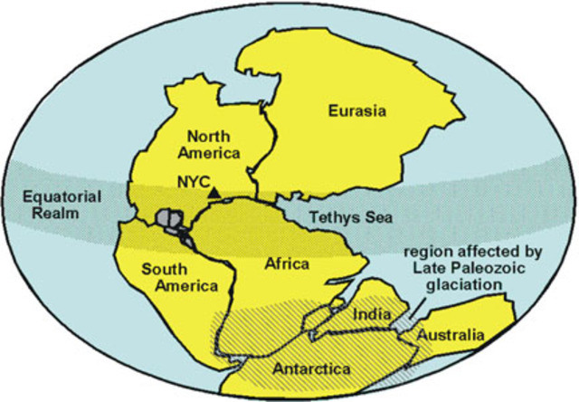 Pangaea formed