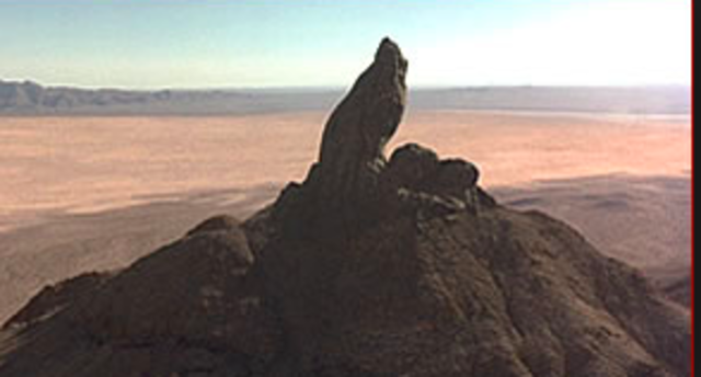 Stanley survives on God's Thumb