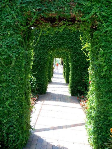 Celebrating A Birthday!