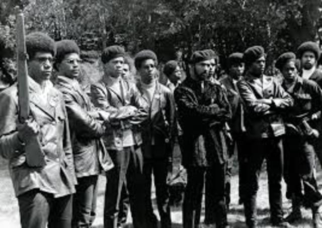 Black Panthers