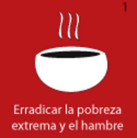 OBJETIVOS DEL MILENIO