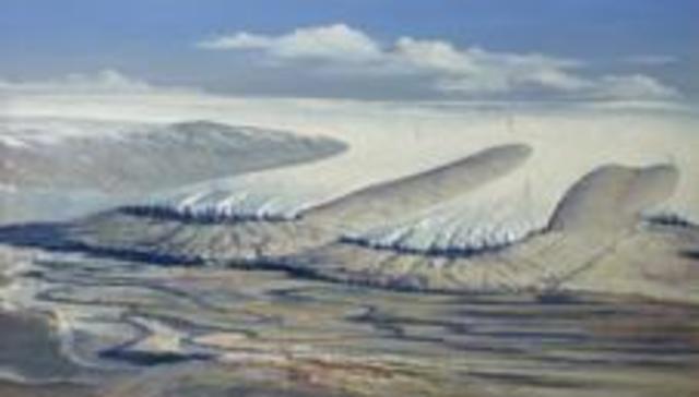 Ordovician-Silurian mass extinction