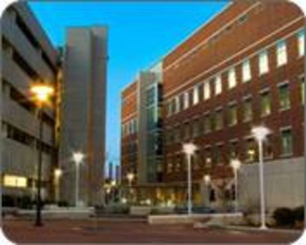 Первый печатный орган 3D