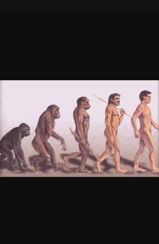 1st Homo Sapiens