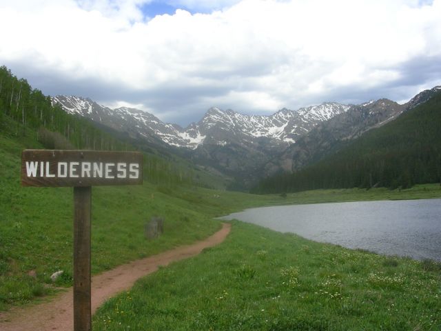 The Wilderness