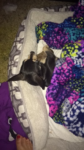 Primera siesta con mama