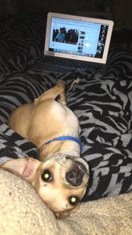 Primera ves mirando youtube