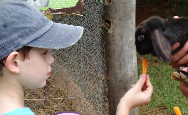 Eu alimentando um coelho