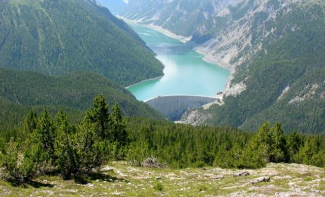 Modelo de conservación de Yellowstone