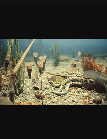 Ordovican Mass Extinction