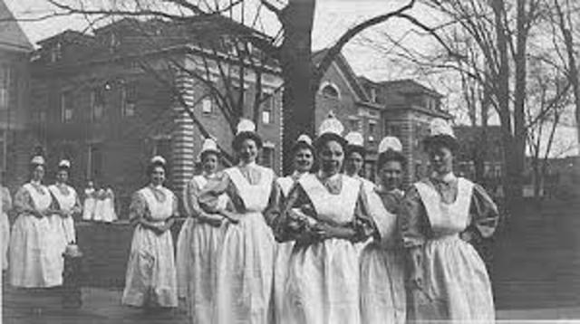 The Nurses Practice Act