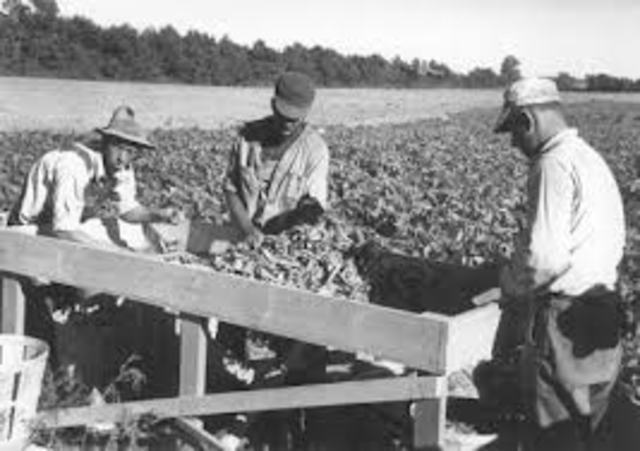 Unemployed and Migrant Workers