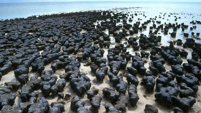 Oxygen entering Earths atmosphere