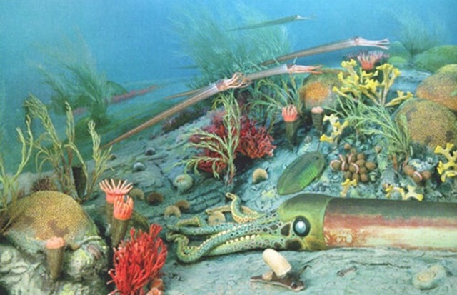 Ordovician Silurian mass extinction