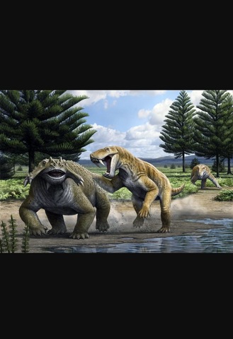 Permian Mass Extinction