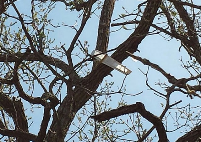 Kevin and max become friends