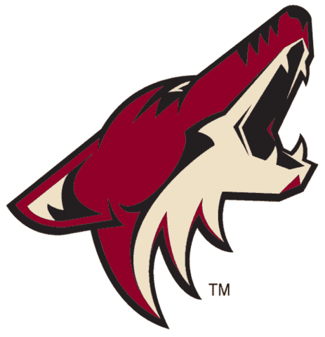Phoenix Coyotes File for Bankruptcy