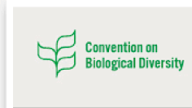 Convenio sobre la Diversidad Biológica (CDB)