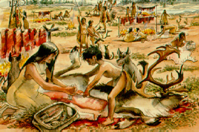 Hunting and Gathering